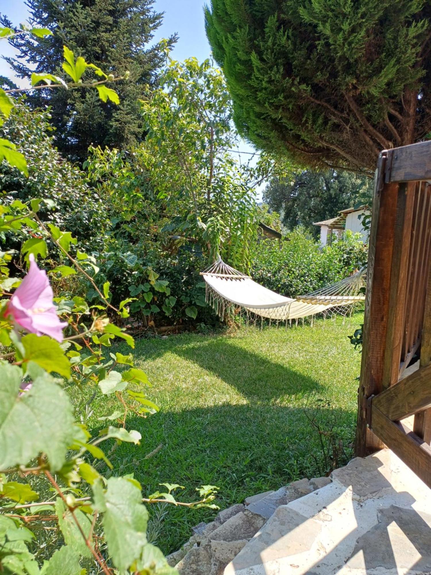 Efi'S Guest House Áyios Dhimítrios エクステリア 写真